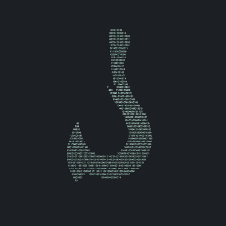HOOK BOTNET